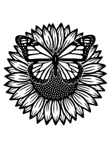 Design 1