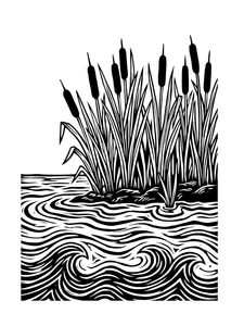 Design 2