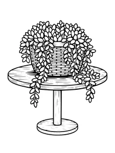 Design 5