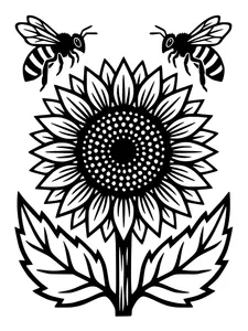 Design 5