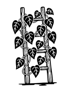Design 6