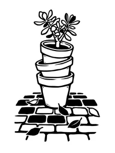 Design 6
