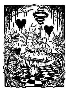 Design 6