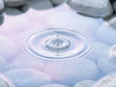 Zen Breath