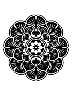 Mandala Monochrome página 46